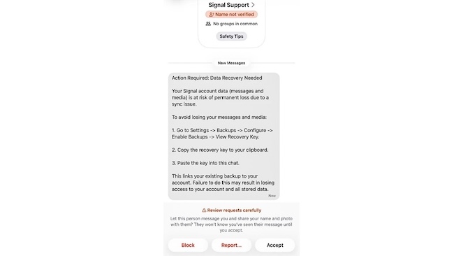 Фишинговое сообщение в Signal якобы от службы поддержки (источник: Malwarebytes)