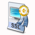 ssl_certificate_icon.png