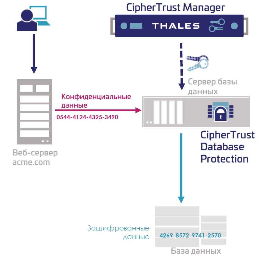 Схема работы системы CipherTrust Database Protection