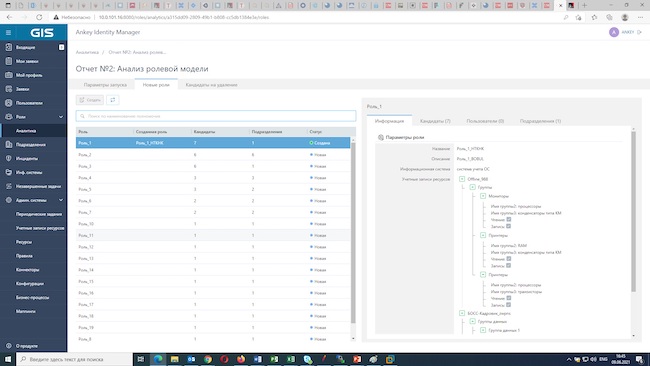 Анализ ролевой модели в Ankey IDM