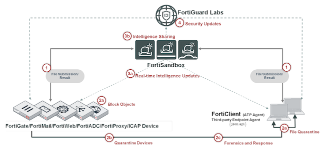 Схема взаимодействия продуктов Fortinet при работе FortiSandbox