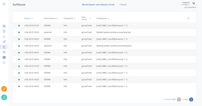 Просмотр системных логов SurfSecure
