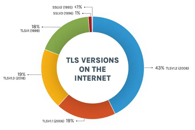 Распределение версий TLS на серверах в 2025 году (Источник: Forescout Research)