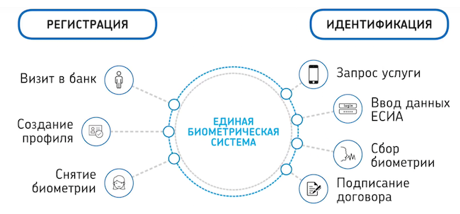 Использование ЕБС для идентификации Использование ЕБС для идентификации