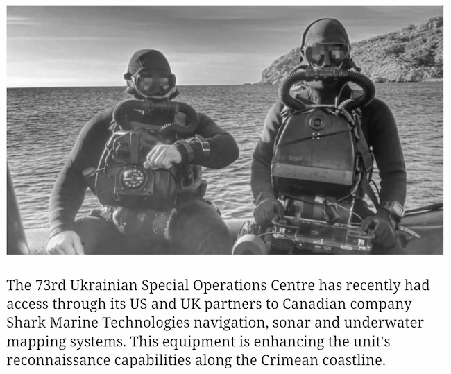 Бойцы 73-го центра специальных операций Украины во время испытаний оборудования компании Shark Marine Technologies