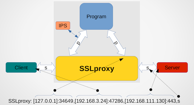Реквизиты транслируемого трафика в подзаголовке SSLproxy