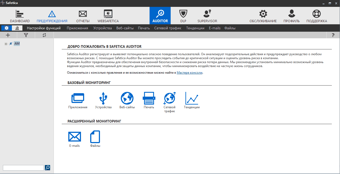 Окно интерфейса в консоли Safetica Management Console