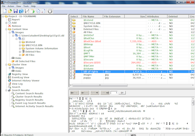 Содержимое файлов в ProDiscover Forensics