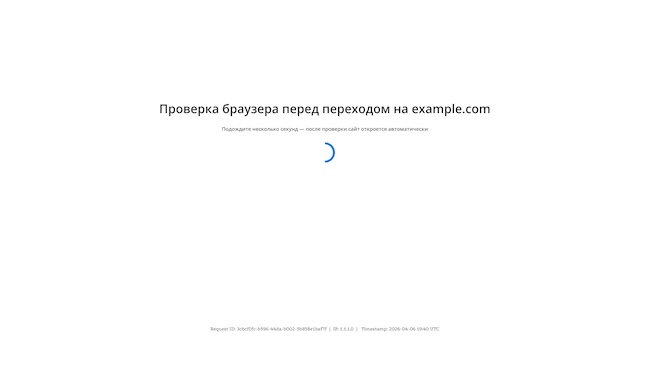 Страница проверки JS challenge