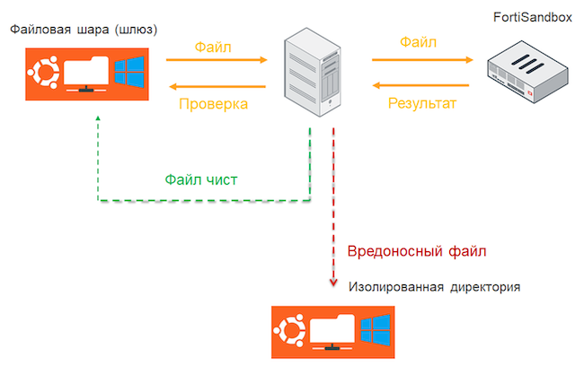 Пример использования FortiSandbox API