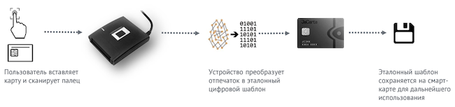 Принцип работы Aladdin SecurBIO Reader при регистрации отпечатка пальца пользователя