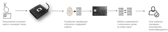 Принцип работы Aladdin SecurBIO Reader при аутентификации пользователя