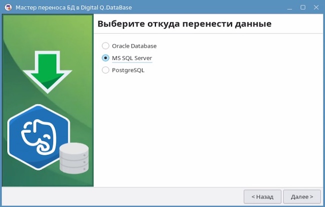 Импорт данных в Digital Q.Database