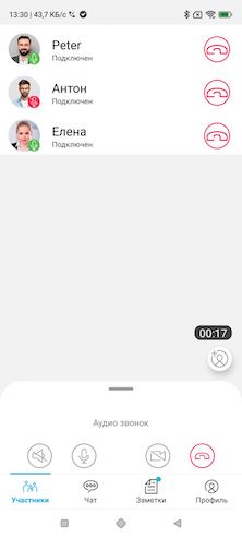 Проведение аудиоконференции в Anwork 0.7.3