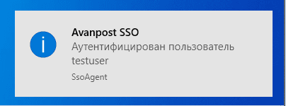 Сообщение об успешной аутентификации пользователя