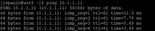 Тестовый трафик на «wst3»