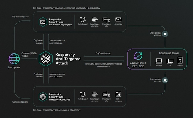 Принцип работы платформы КАТА