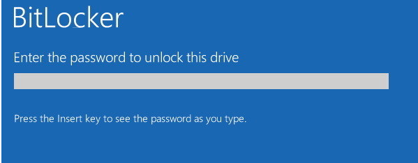 BitLocker просит ввести пароль для загрузки ОС