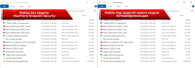 Файлы до атаки вируса-шифровальщика