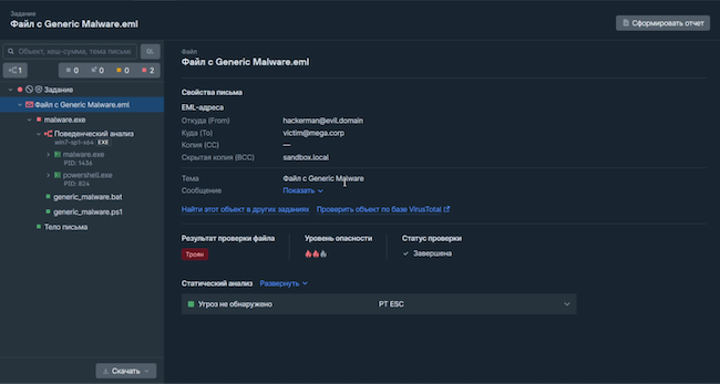 Общая информация о файле с вредоносным кодом в PT Sandbox