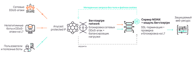 Вариант интеграции «Модуль NGINX»