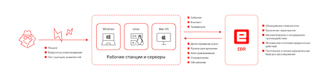 Принцип работы EDR