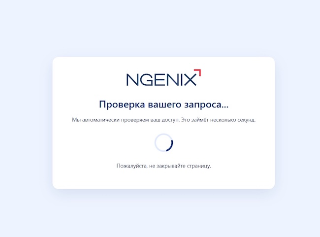 Страница проверки запроса