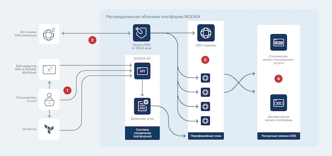 Схема устройства авторитативного DNS NGENIX