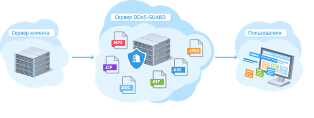 Кэширование данных на северах DDoS-GUARD