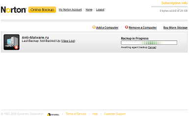 Norton Online Backup в процессе работы