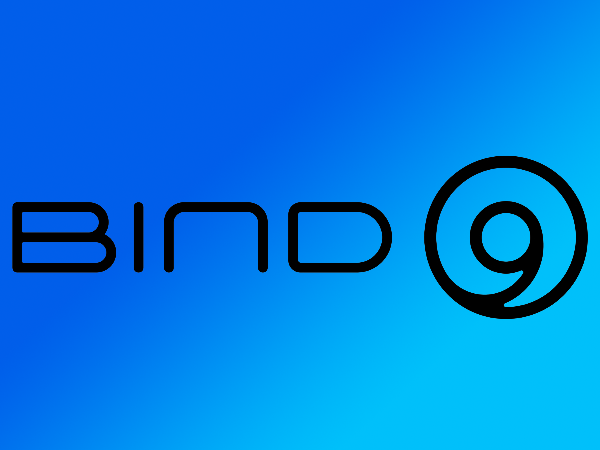 В BIND 9 устранили три удаленно эксплуатируемые DoS-уязвимости