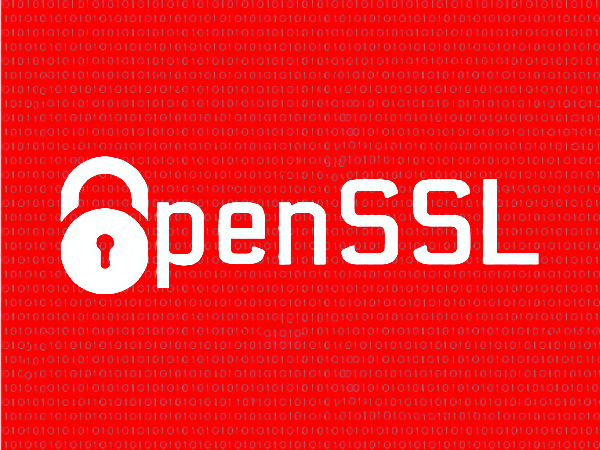 Openssl public. Openssl public