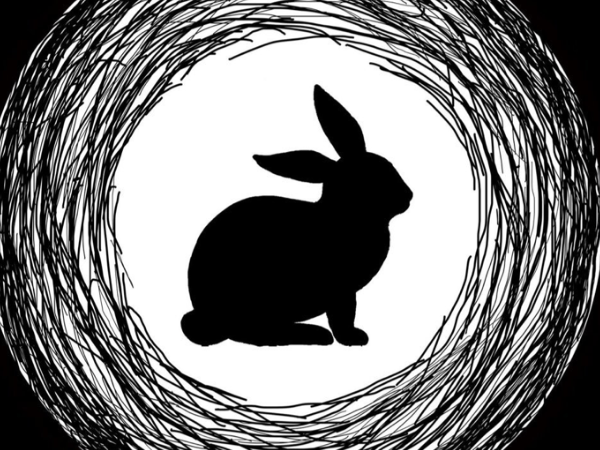 Channel rabbit hole animation