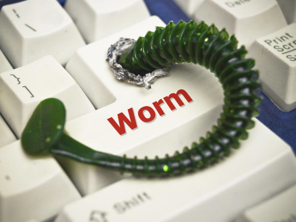 Сетевые черви вирусы. Интернет червь. Компьютерный червь. Компьютерные вирусы черви. Черви вирус.