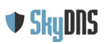 SkyDNS