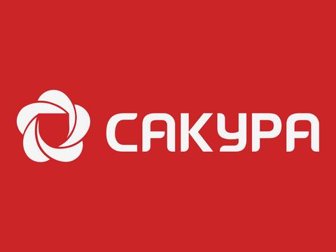 Обзор САКУРА 3, комплекса для контроля и мониторинга удалённых рабочих мест