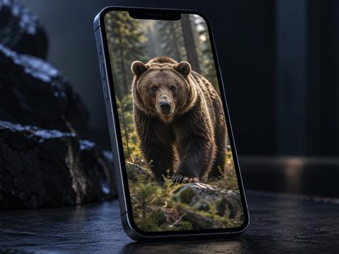 Россиянку оштрафовали на 30 тыс. руб. и лишили iPhone за ИИ-фото медведя
