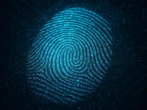 В России разработали способ удалить свой биометрический след