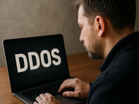 39% вредоносного бот-трафика в России исходит с ее же IP-адресов