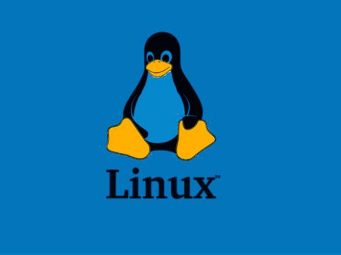 В наборе софта BusyBox для Linux нашли 14 дыр, приводящих к DoS и RCE