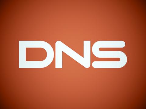 В открытый доступ выложили данные покупателей DNS-SHOP