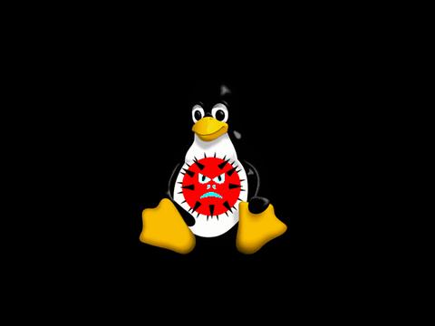 У Linux-зловреда Gafgyt появился наследник — Enemybot