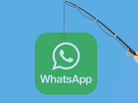 Более 2000 фишинговых страниц нацелены на аккаунты Telegram и WhatsApp