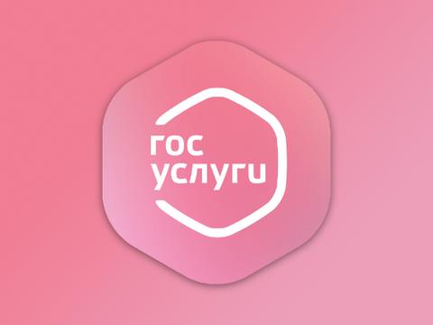 По стопам Аэрофлота: не работают сайт и приложение «Госуслуг»