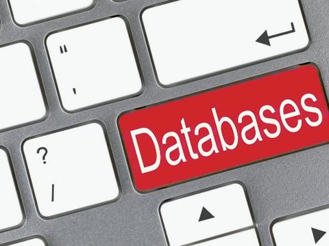 Минцифры: государственным базам данных нужна ревизия