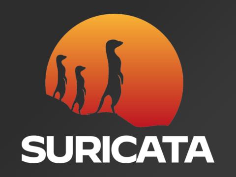 Kaspersky запустила онлайн-тренинг для ИБ-специалистов по правилам Suricata
