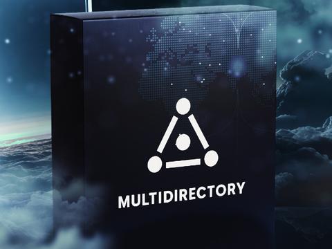 В MULTIDIRECTORY появилась передача логов в Syslog и защита от брутфорса