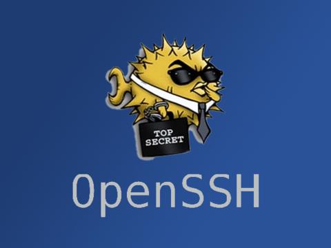Дыра в OpenSSH позволяет удалённо внедрить команды в Linux-системах