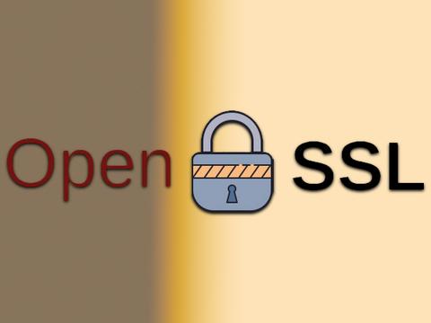 OpenSSL закрывает три уязвимости: от DoS до утечки приватных ключей