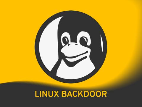 Новый Linux-бэкдор Plague: год под носом и ни одного детекта
